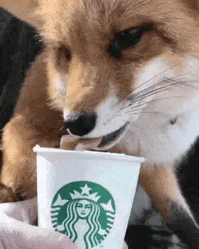 fox10