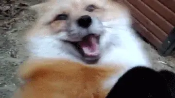 Fox5