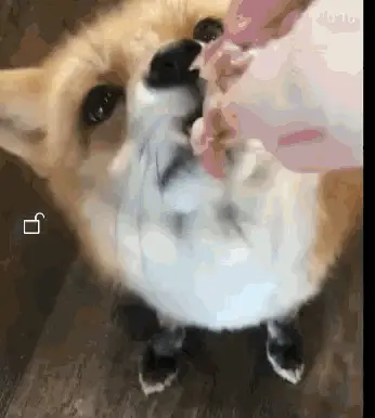 Fox9
