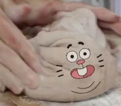 Richard Dough 2