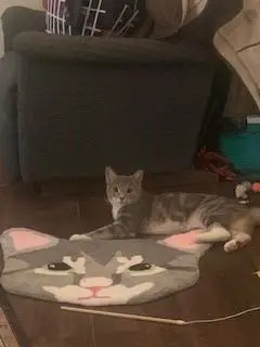 Facerug