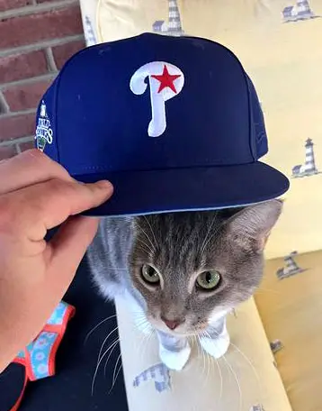 Phillies