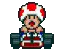 Toadkart
