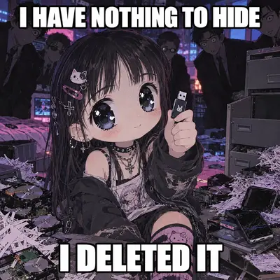Milady Slop Nothing to Hide I Deleted It