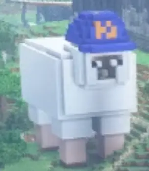 Mets Sheep