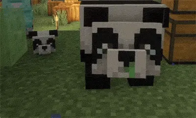 Panda Flip