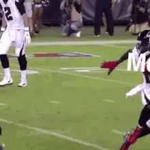 Gayshit NFL