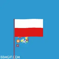 Polish Flag
