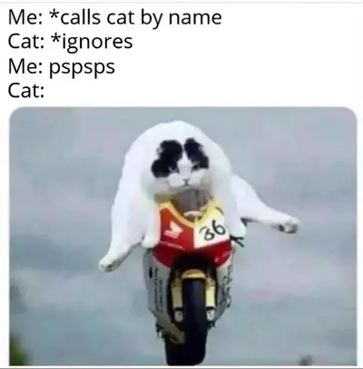 Motorcycle