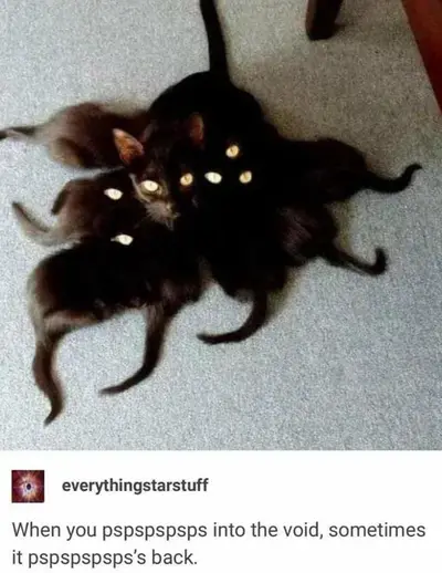 The Void