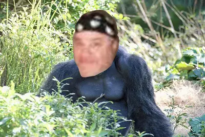 Mbalyia