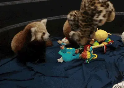 Redpanda6