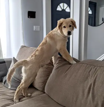 Castingcouch