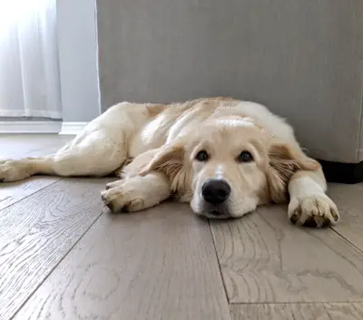 Lilmiddaynap