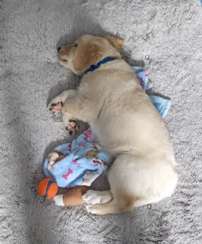 Lilnap
