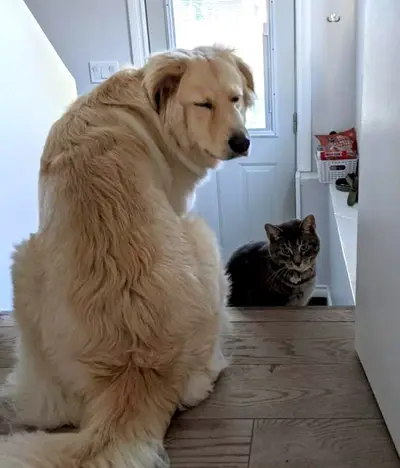 Sleepystairs