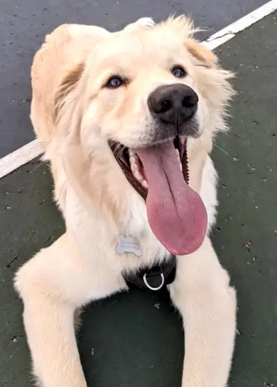 Smileystreet
