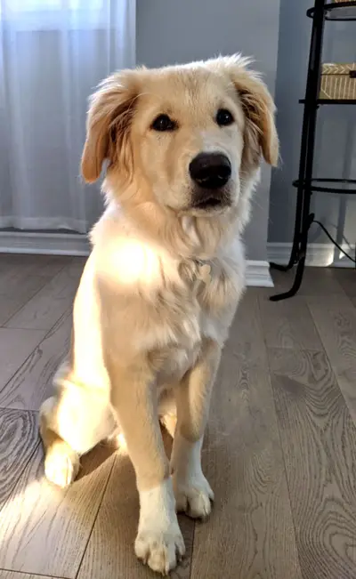 Sunkissed