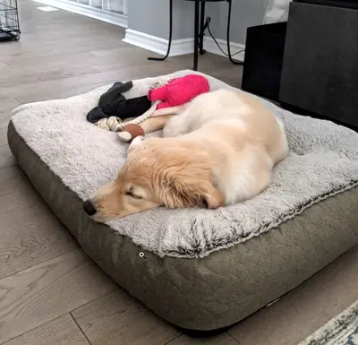 Tuckeredout