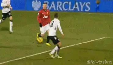 Rooney4