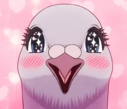 Pigeon 1