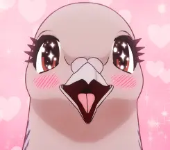 Pigeon 2
