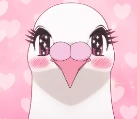 Pigeon 3