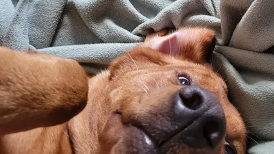 Mfw Emptiness
