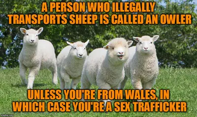 Trafficker