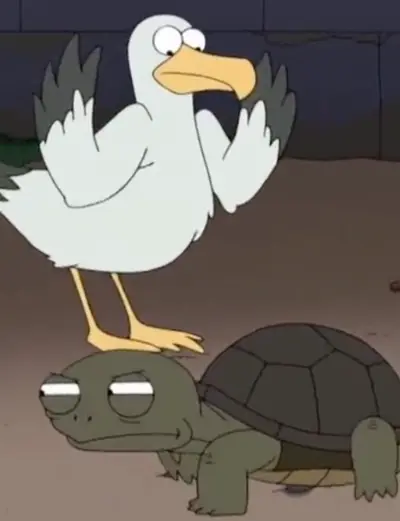 Bird