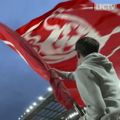 Ynwa 1
