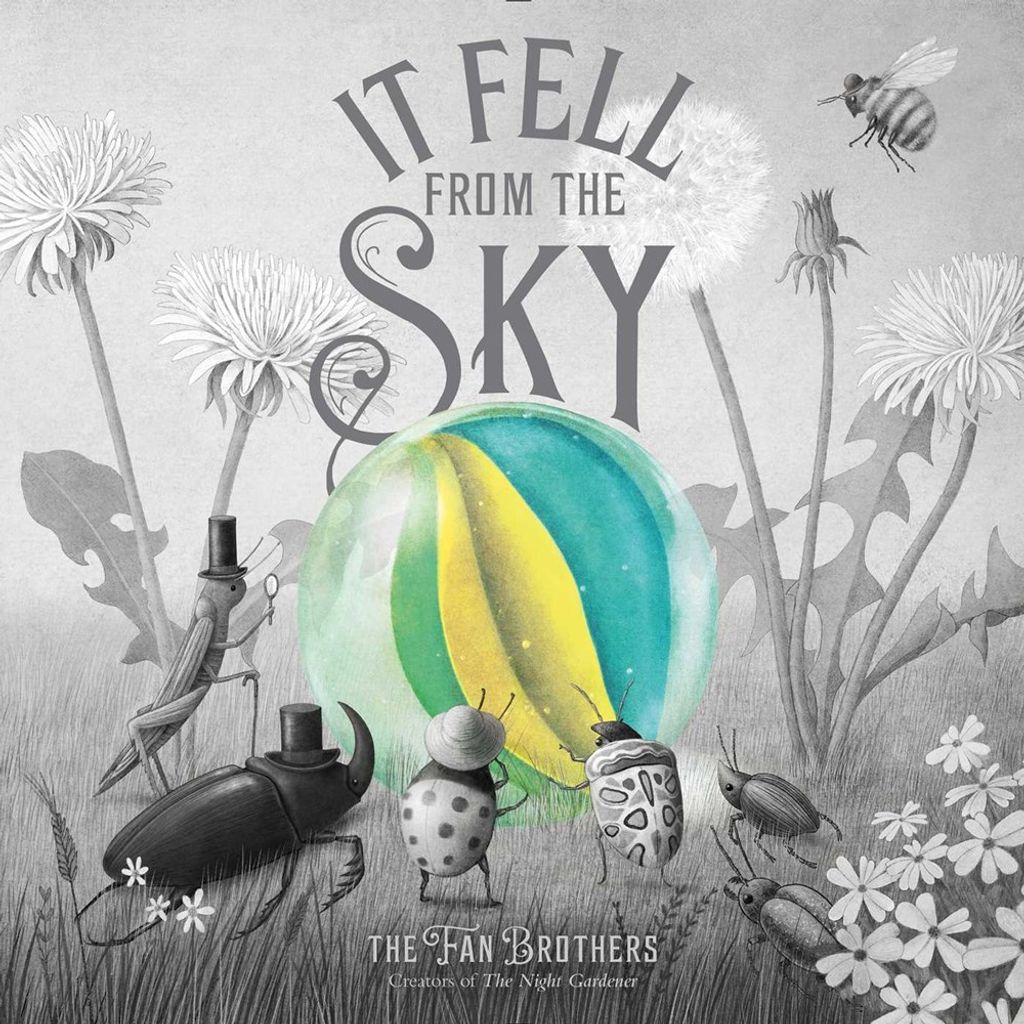 Book Cover of It Fell From the Sky