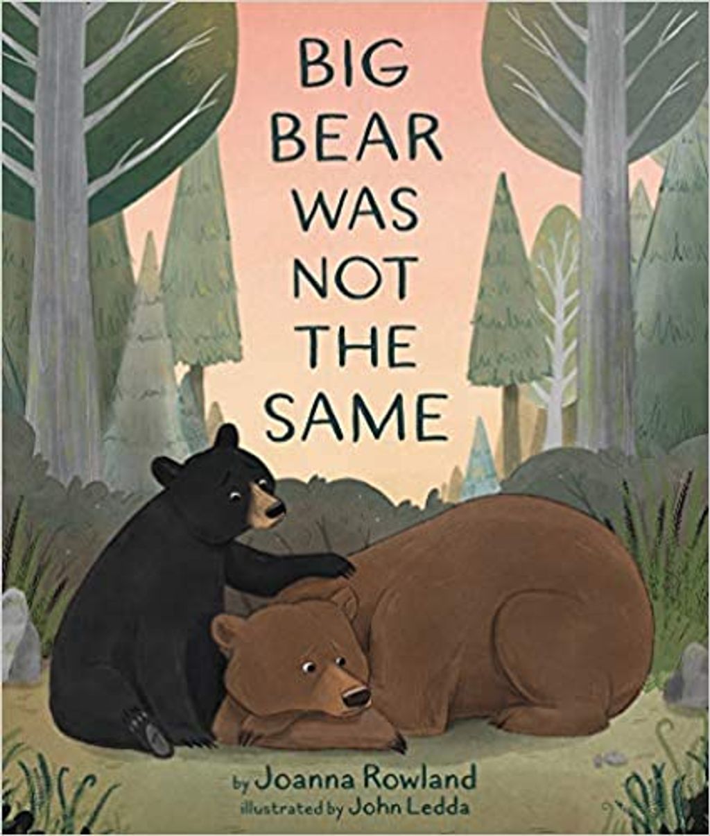 Book Cover of Big Bear Was Not the Same