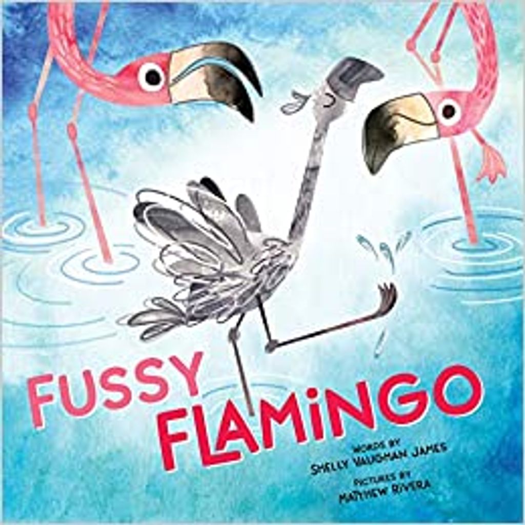 Book Cover of Fussy Flamingo