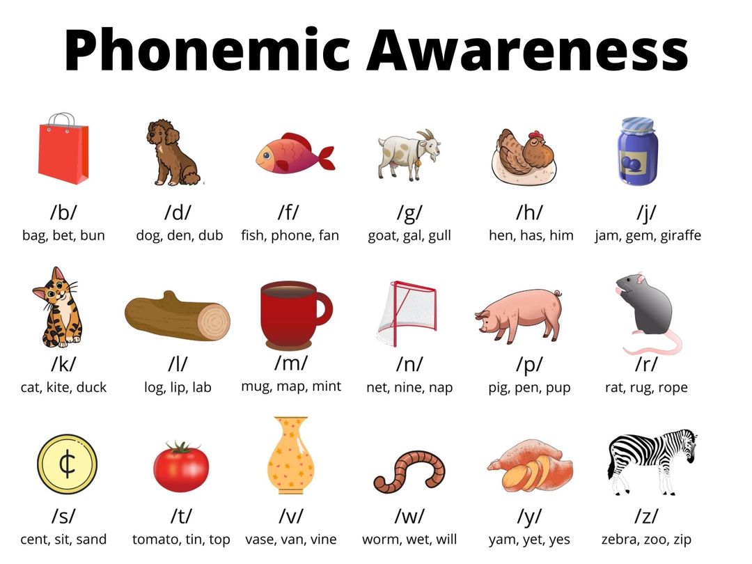 Phonemic Awareness A Guide to Phonemes with Visual Examples