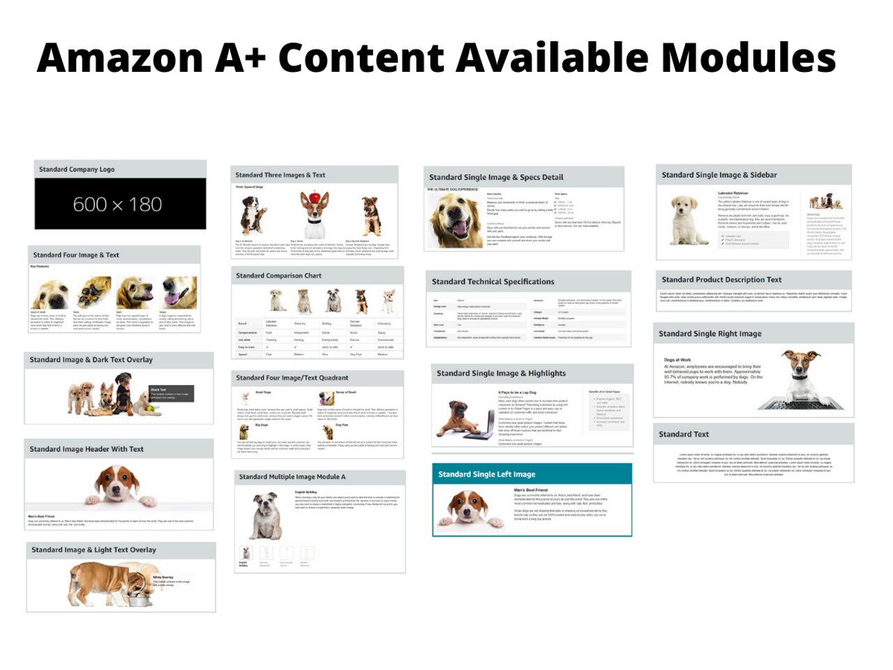 Amazon A+ Content Creation, Best Practices, and Examples