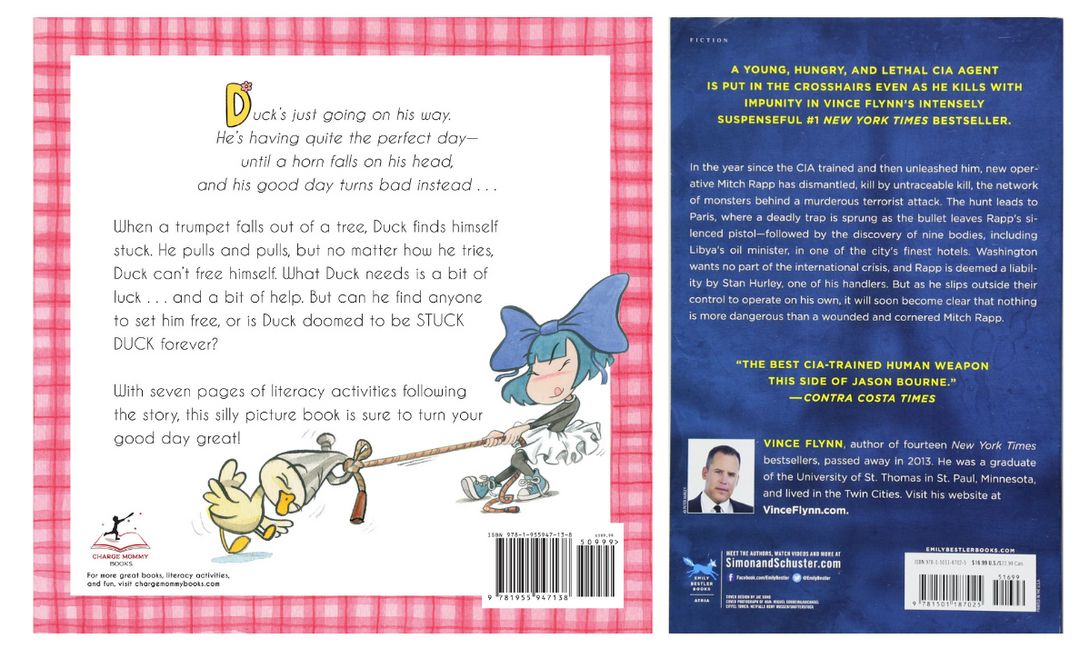 Book back cover examples for children's book and adult fiction book summaries.