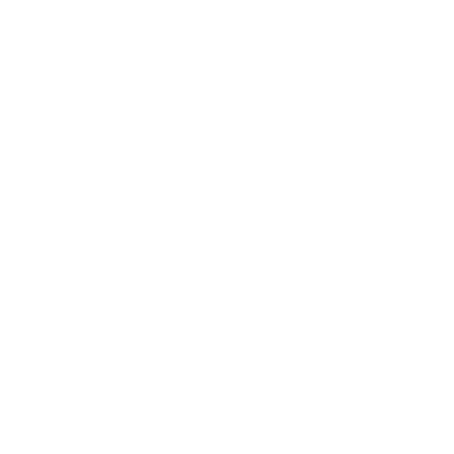 Blue Wolf Transformations