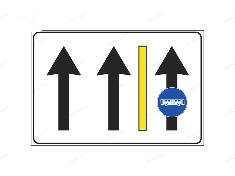 Il segnale raffigurato indica come devono essere utilizzate le corsie