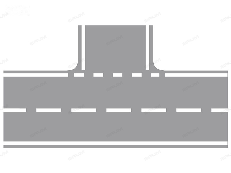 La striscia bianca laterale discontinua in figura separa la carreggiata da un passo carrabile (505)