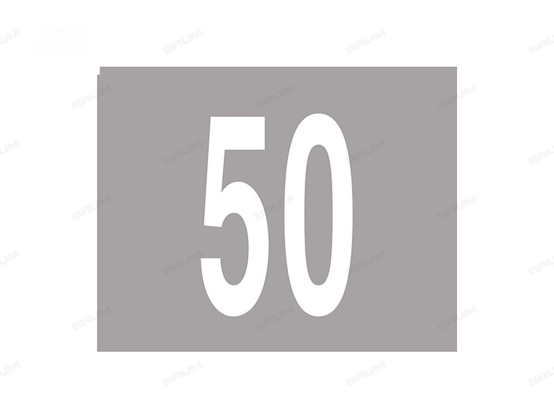 L'iscrizione in figura indica la velocità consigliata  (528)