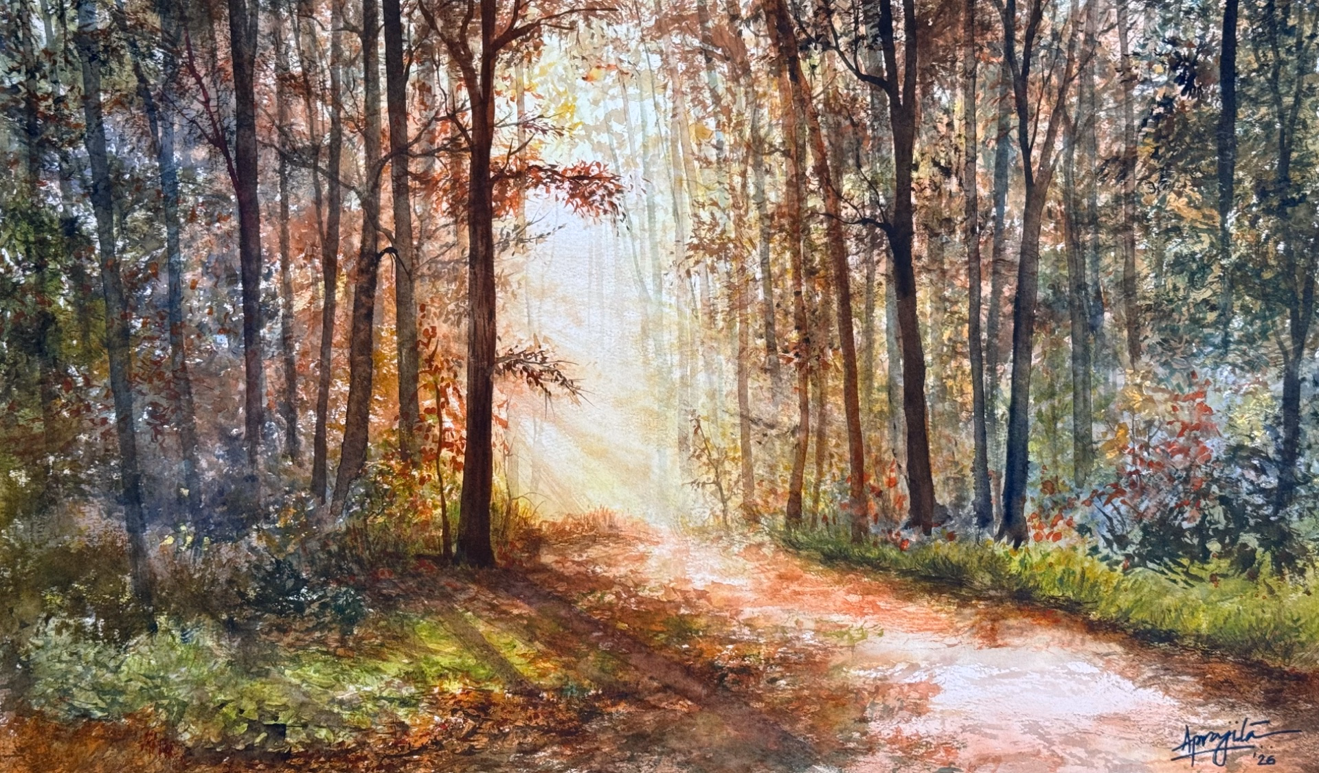 Where the light just stays
