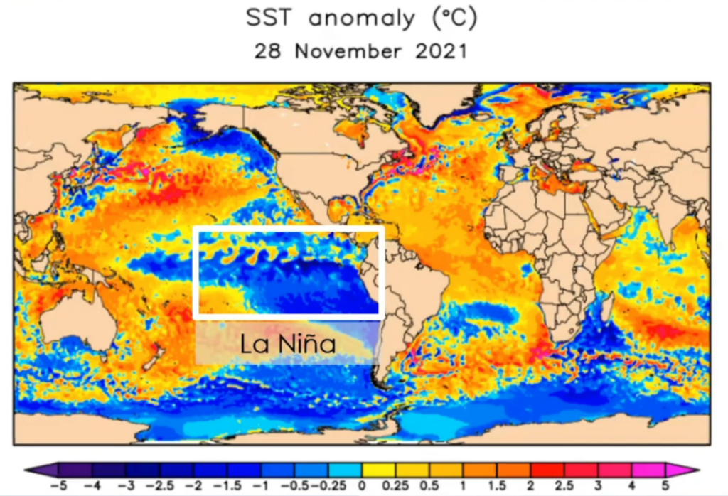 Sea Surface Temperature Visual