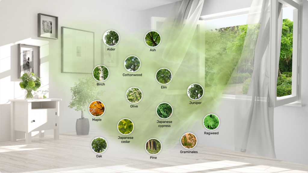 Different pollen types