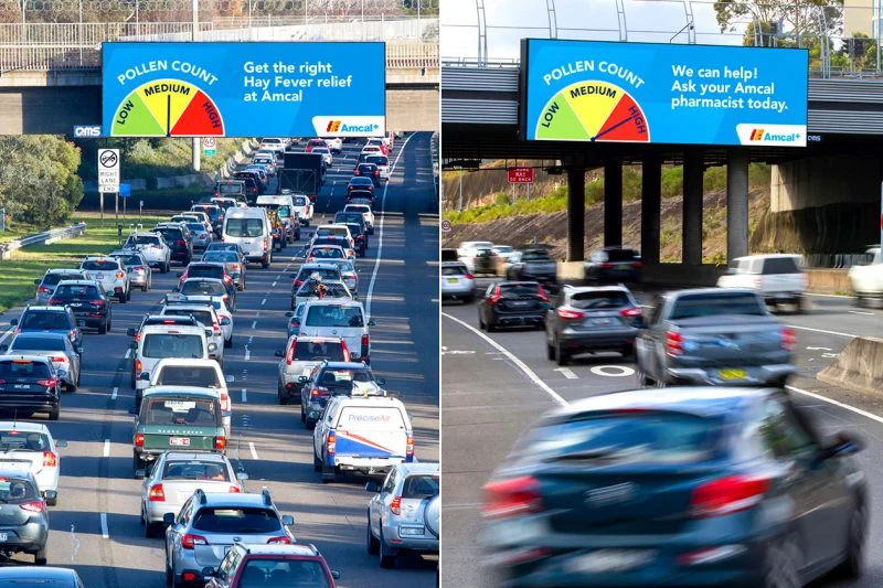 Amcal tracks live pollen count for billboard advertising