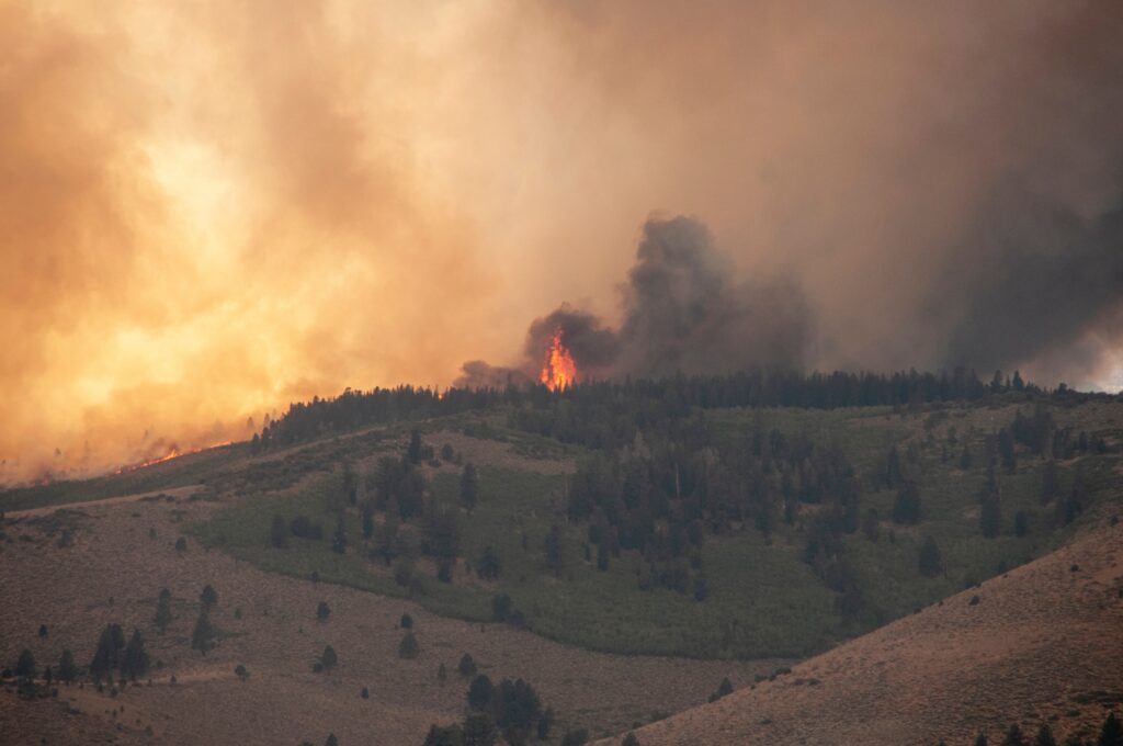 fire and smoke monitoring from a distance