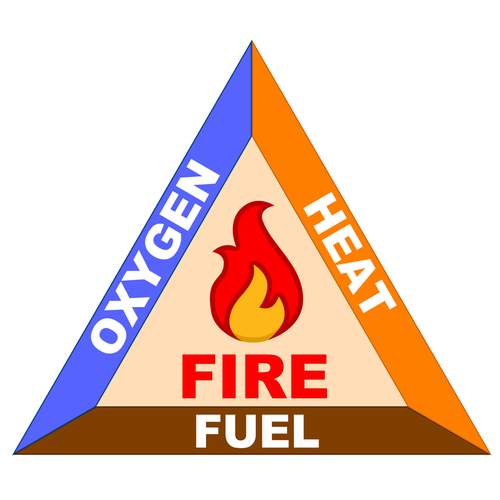 How do Wildfires Start?