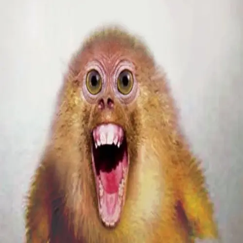 lungskull | BeatStore Profile