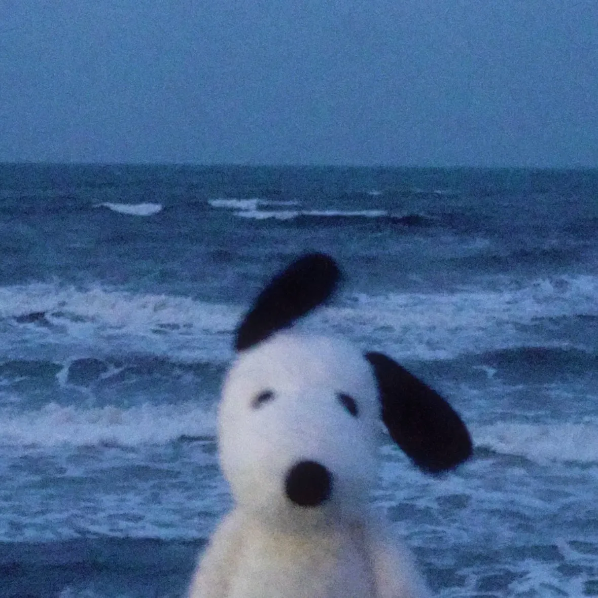 Mario MacTavish | BeatStore Profile