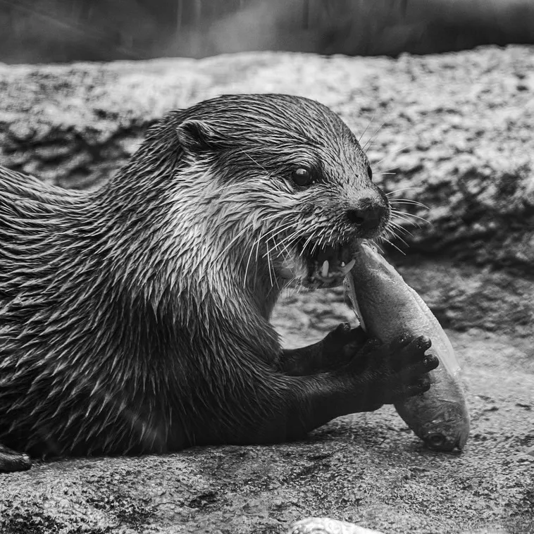 DrapoisBeat | BeatStore Profile